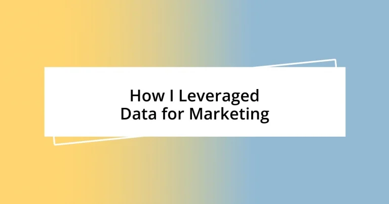 How I Leveraged Data for Marketing