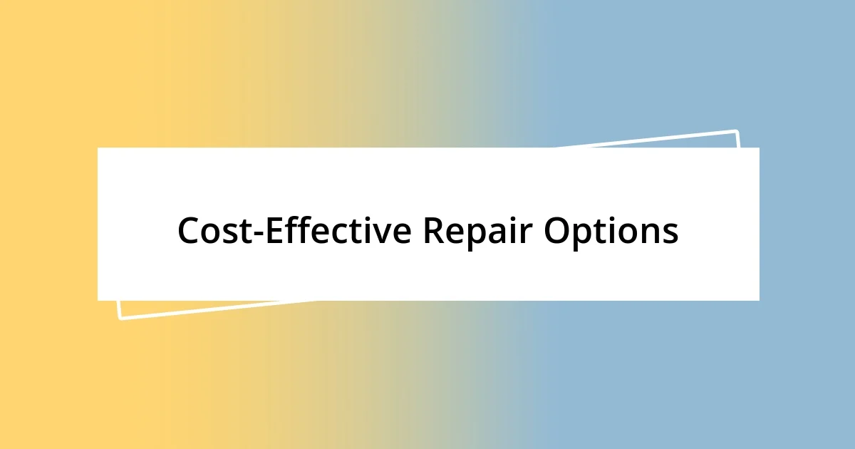 Cost-Effective Repair Options