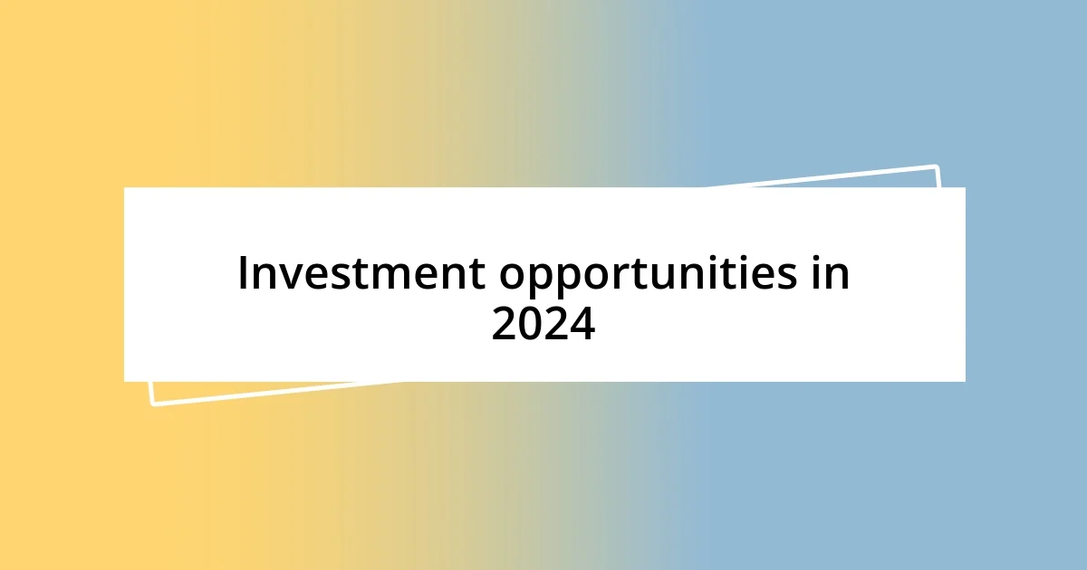 Investment opportunities in 2024